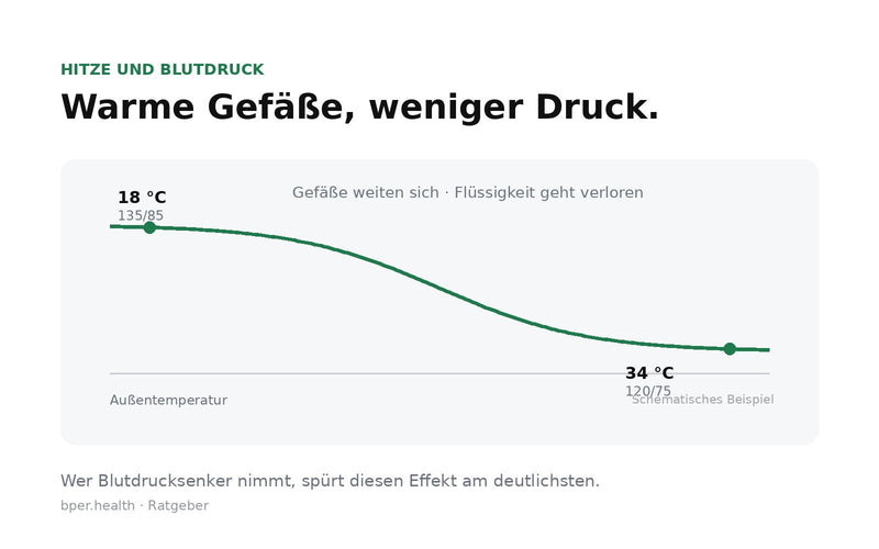 Schematische Kurve: Mit steigender Außentemperatur weiten sich die Gefäße und der Blutdruck sinkt.