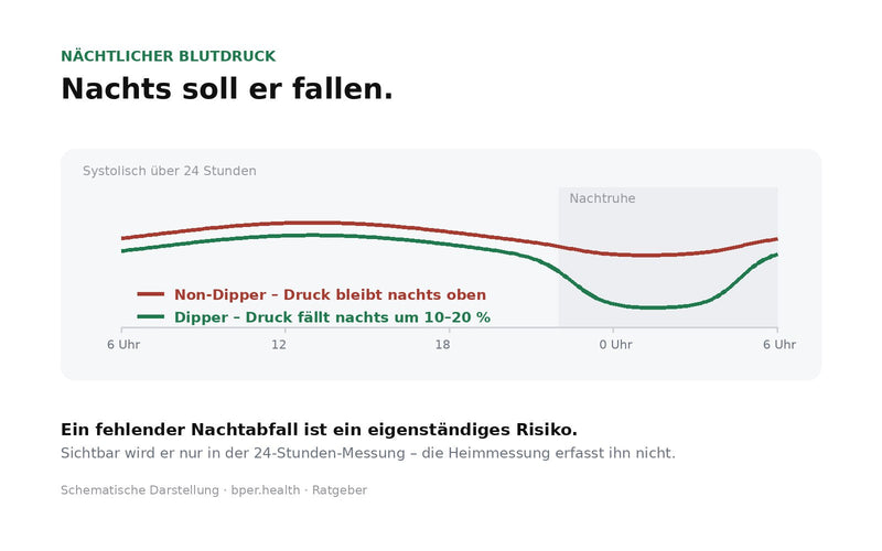 24-Stunden-Blutdruckkurve im Vergleich: Dipper mit nächtlicher Absenkung und Non-Dipper ohne Absenkung