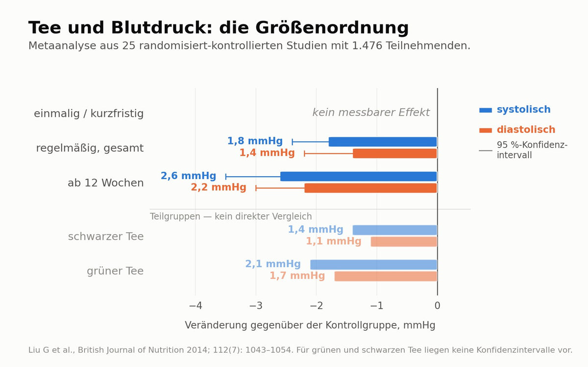 Balkendiagramm der Blutdrucksenkung durch Tee: kein Effekt bei einmaliger Aufnahme, etwa zwei Millimeter Quecksilbersäule bei regelmäßigem Konsum